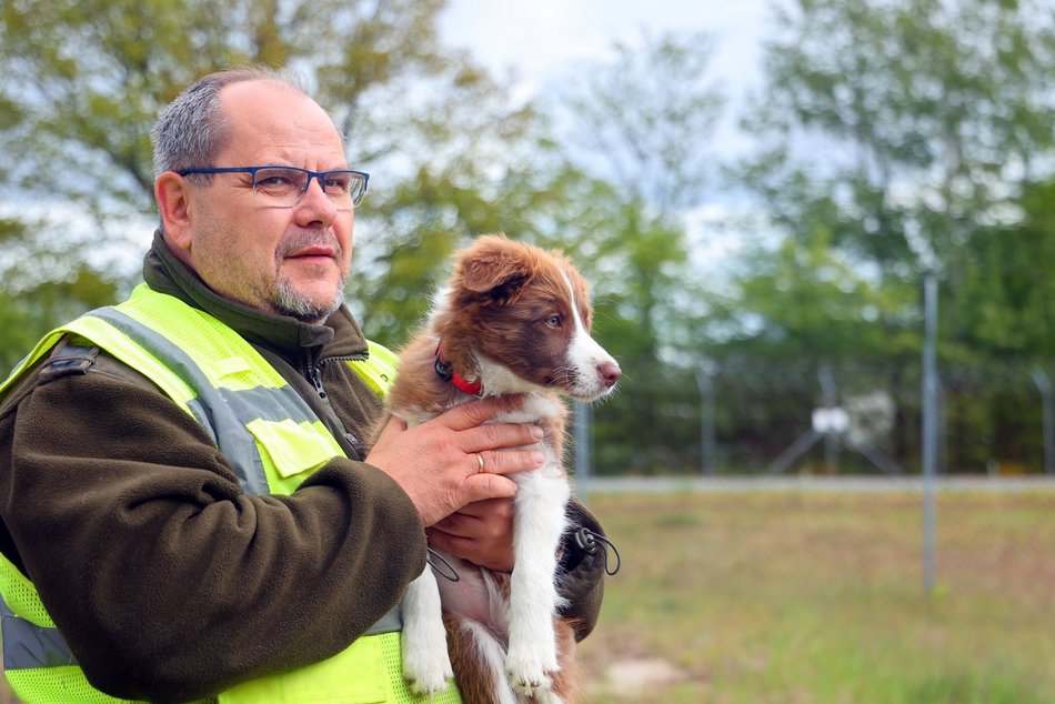 Uwierzysz, że to pracownicy lotniska w Łodzi? Psia ekipa z sokolnikiem Andrzejem Fijałkowskim na czele