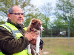 Uwierzysz, że to pracownicy lotniska w Łodzi? Psia ekipa z sokolnikiem Andrzejem Fijałkowskim na czele