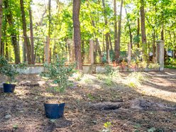 Będzie nowy skwer przy ulicy Zuchów w Łodzi. Zapomniany teren odżyje!