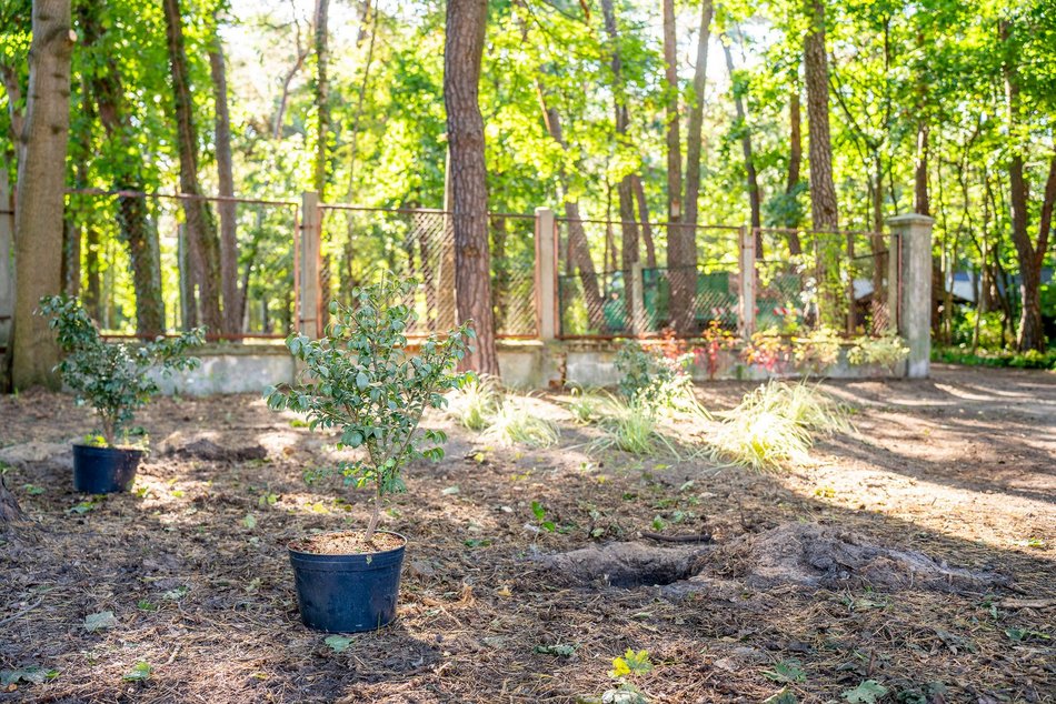 Będzie nowy skwer przy ulicy Zuchów w Łodzi. Zapomniany teren odżyje!