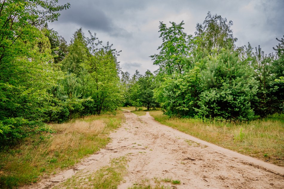 Park Lotników