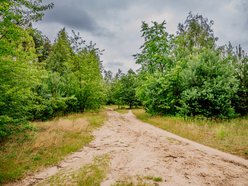 Park Lotników