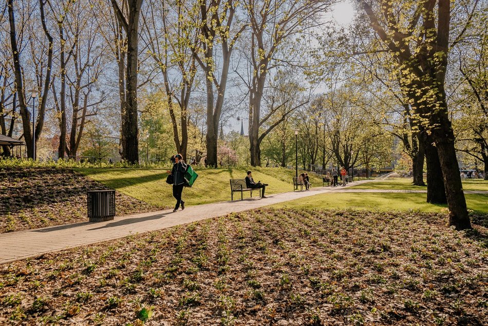 Park Staromiejski w Łodzi - wiosna, zieleń