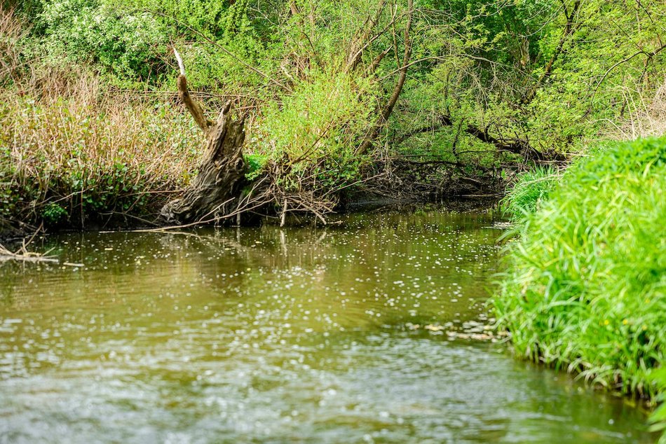 Łódź. Nazwij teren przy rzece Ner w Łodzi! Zielony zakątek w twoich rękach!