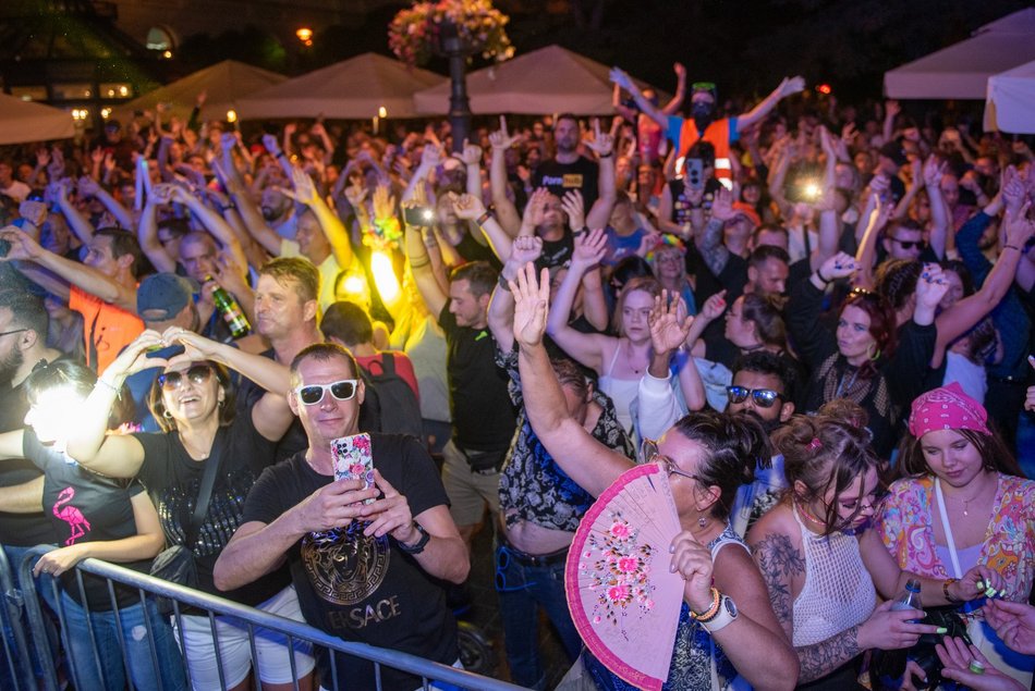 tłum ludzi na koncercie