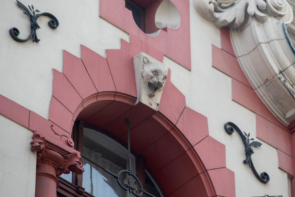 Zwierzęta na kamienicach, w parkach i ulicach w Łodzi