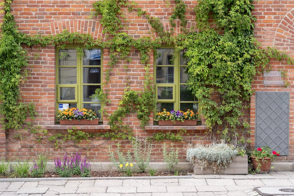Ogrody fasadowe na Księżym Młynie przy ul. Przędzalnianej