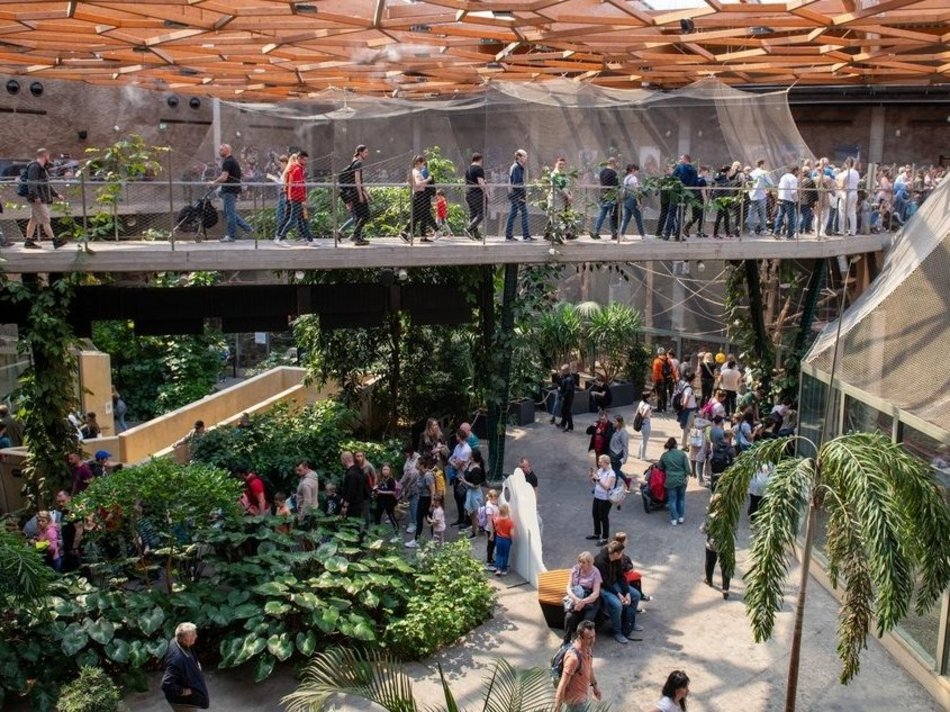 Łódź. „Andrzeje wchodzą jak do siebie!” – darmowy bilet do Orientarium Zoo Łódź