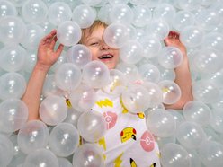 Łódź. Jak wygląda największy figloraj w Łodzi? Zobacz zdjęcia z Orientkowa w Orientarium Zoo Łódź