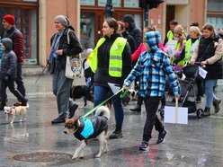 Parada kundelków w Łodzi 2025 przeszła ulicami. Skala słodyczy wysoka jak nigdy!