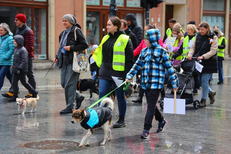 Parada kundelków w Łodzi 2025 przeszła ulicami. Skala słodyczy wysoka jak nigdy!
