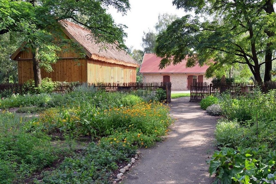 Skansen roślinny w Ogrodzie Botanicznym w Łodzi — ogród roślin użytkowych