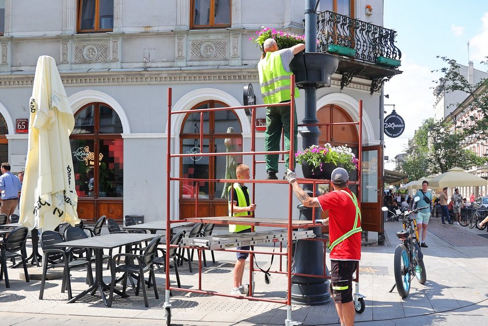 Na Piotrkowskiej i w okolicy sadzą kolorowe rośliny