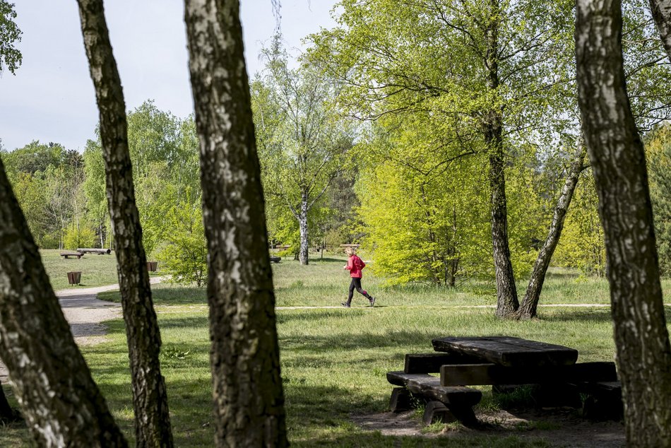 TOP 13 projektu Budżetu Obywatelskiego Łódź