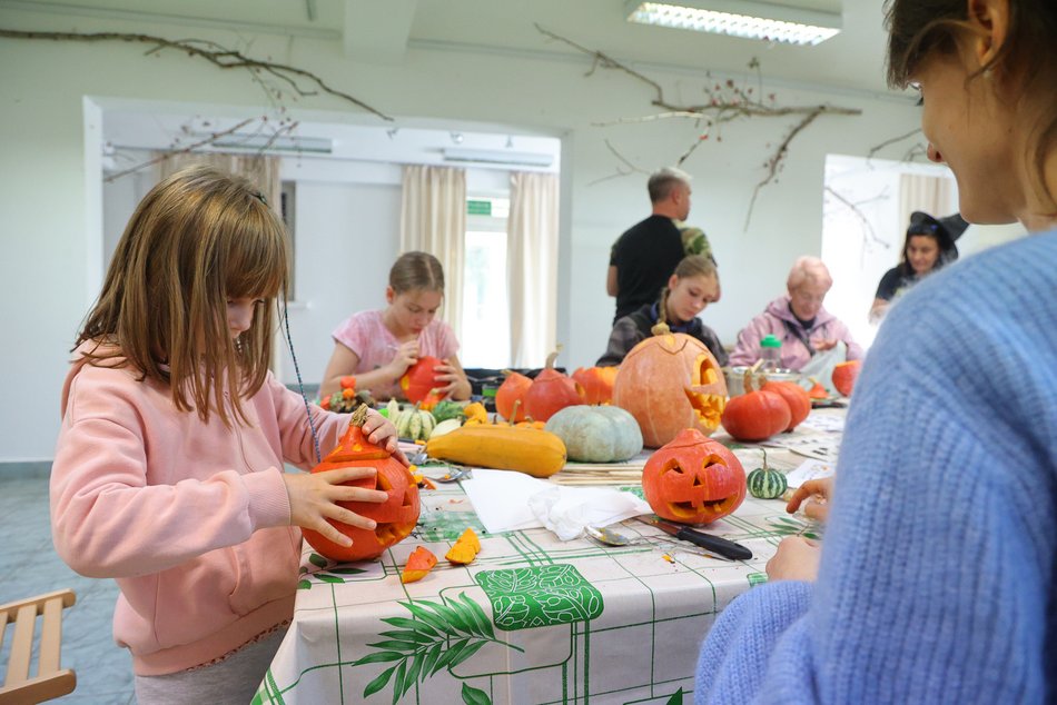 Wycinanie dyń w Ogrodzie Botanicznym w Łodzi