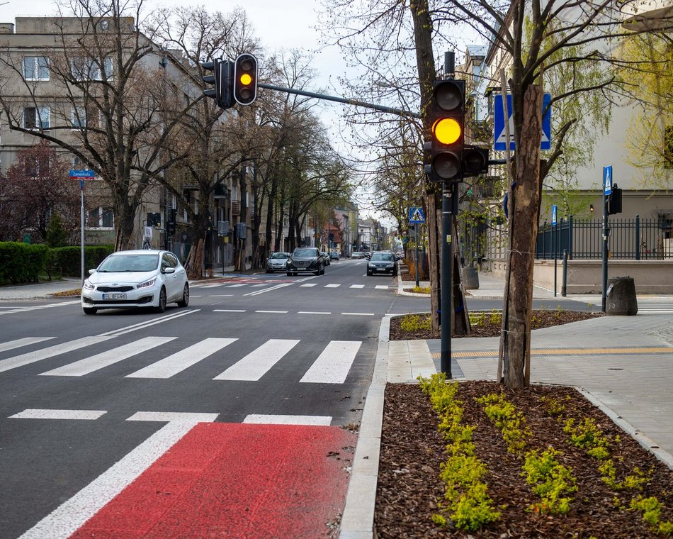 Łódź. Więcej zieleni przy Gdańskiej i Zamenhofa. Nowe rośliny już zdobią ulice