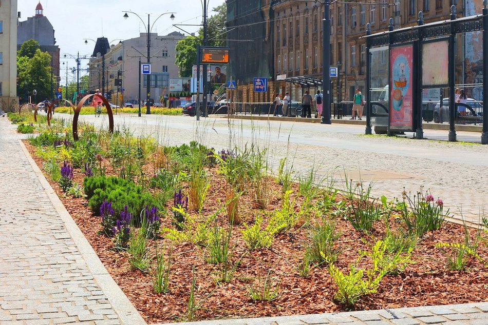 Łódź. Zieleń przy Bramie Miasta w Łodzi. Chwila oddechu w samym centrum