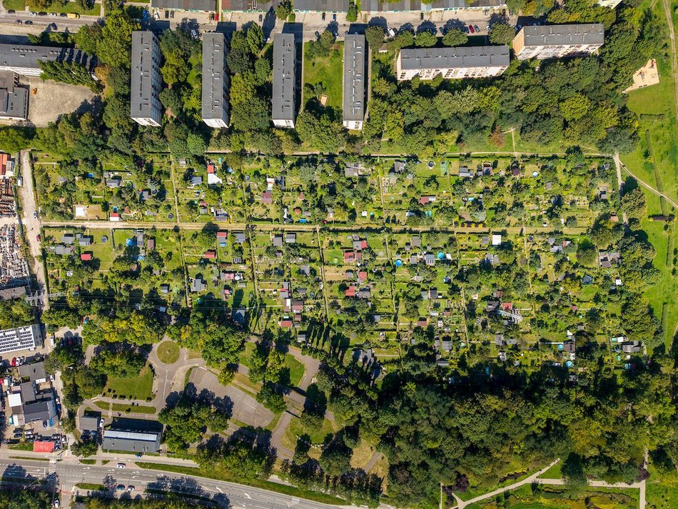 Łódź. Rodzinne Ogrody Działkowe w Łodzi. Miejsca relaksu z prawdziwą ekomisją