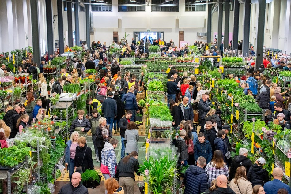 Festiwal Roślin w EC1 Łódź