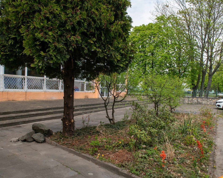 Łódź. Nietypowy ogród w XXIII LO w Łodzi. Powstał z materiałów z recyklingu