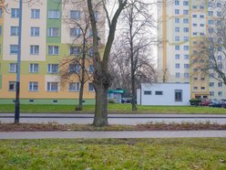 Łódź. Nasadzenia na ul. Kurczaki w Łodzi