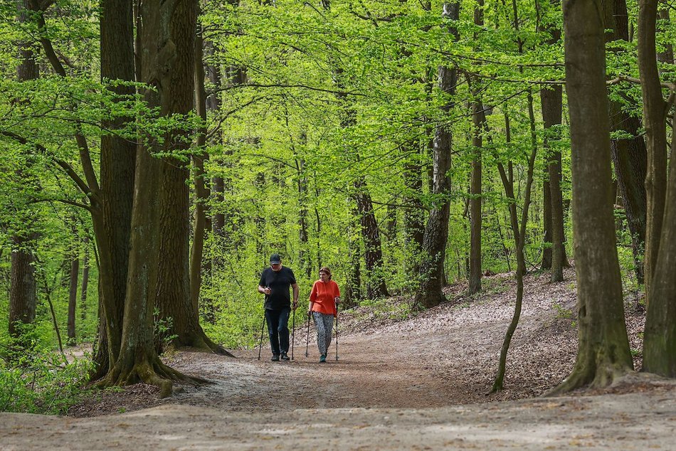 Łódź. Dokąd na wielkanocny spacer? Głosuj na swoje ulubione miejsce!