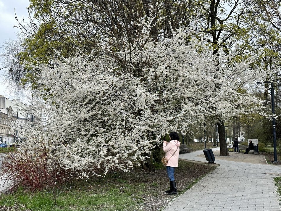 Wiosna rozgościła się w Łodzi!
