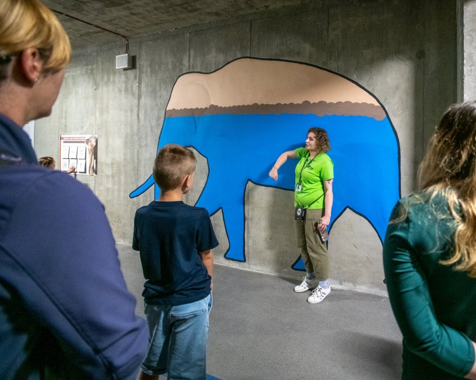 601. Urodziny Łodzi w Orientarium Zoo Łódź