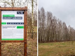 Park Leśny Lublinek