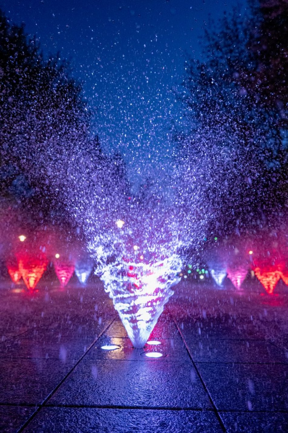 Fontanna w parku Staromiejskim