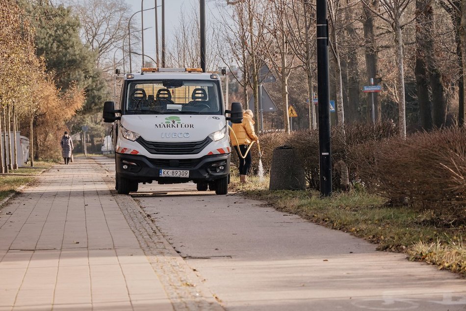 Łódź. Śliwy i lipy ozdobiły Rojną w Łodzi. To część wielkiej akcji sadzenia drzew w mieście