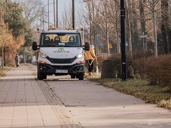 Łódź. Śliwy i lipy ozdobiły Rojną w Łodzi. To część wielkiej akcji sadzenia drzew w mieście