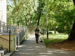Łódź. Prace pielęgnacyjne w parku przy Leczniczej w Łodzi. Będzie ładniej i wygodniej!