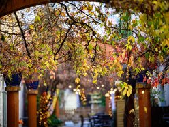 Najpiękniejsze jesienne podwórko w Łodzi? Zajrzyj na Piotrkowską 67!