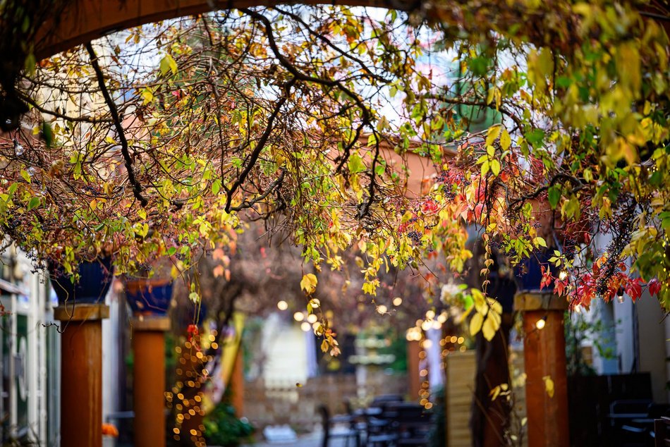 Najpiękniejsze jesienne podwórko w Łodzi? Zajrzyj na Piotrkowską 67!