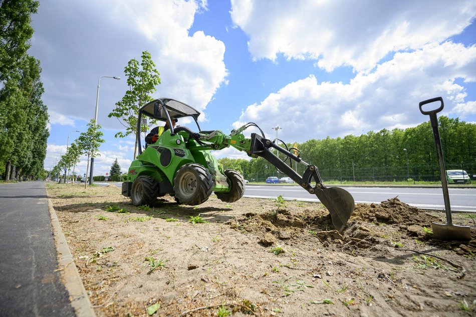 Nowe drzewa przy Maratońskiej w Łodzi. Będzie ich aż 70!
