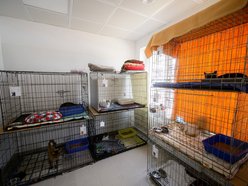 Łódź. schronisko w Łodzi