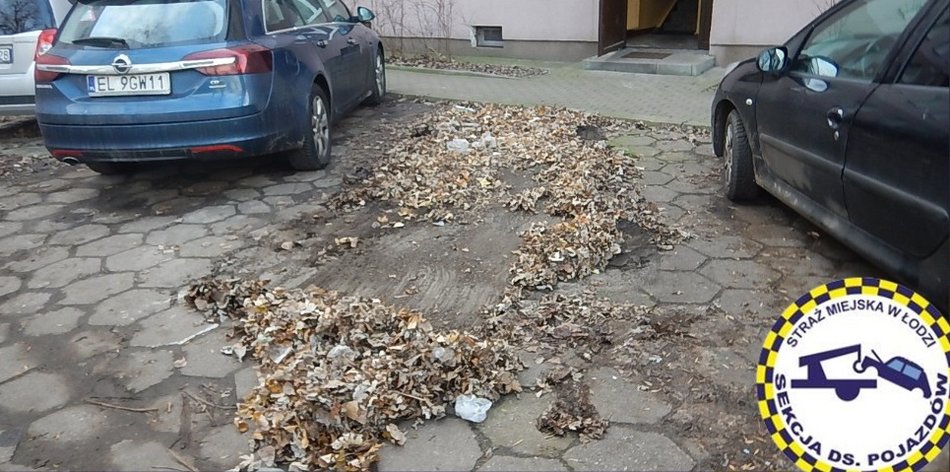 Łódź. Wraki znikają z ulic