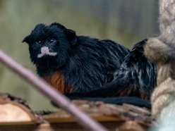 fot. Orientarium Zoo Łódź