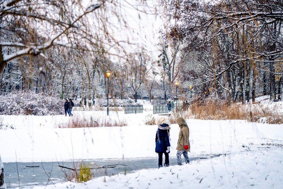 Park Helenów zimą