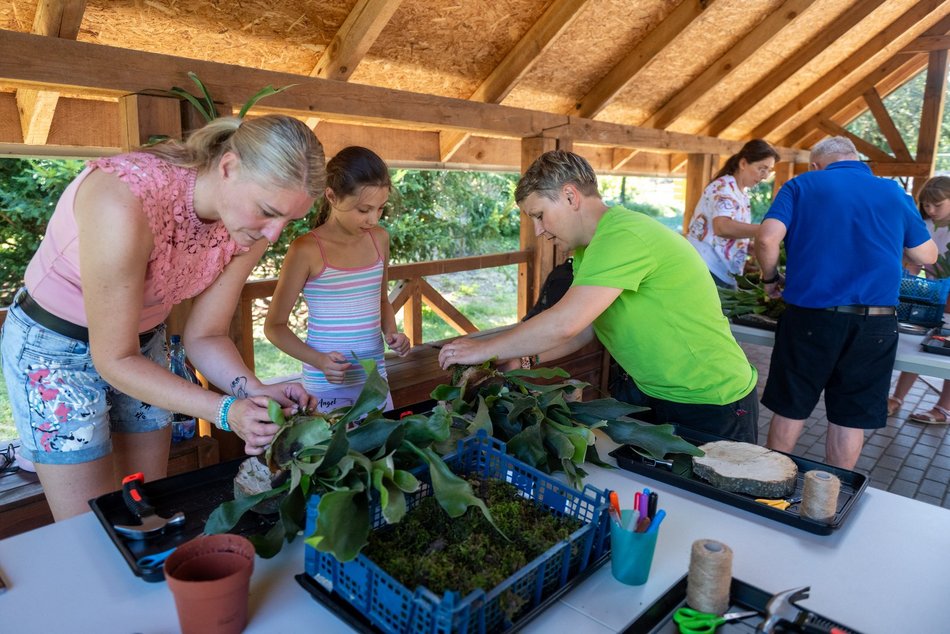 Łódź. Zielona Feta w Orientarium Zoo Łódź. Moc atrakcji na długi weekend
