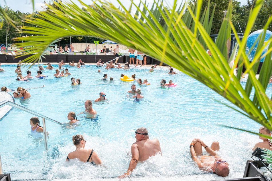 Łódź Summer Festival 2025! Ogromna plaża, palmy i leżaki, czyli strefa relaksu Aquaparku Fala