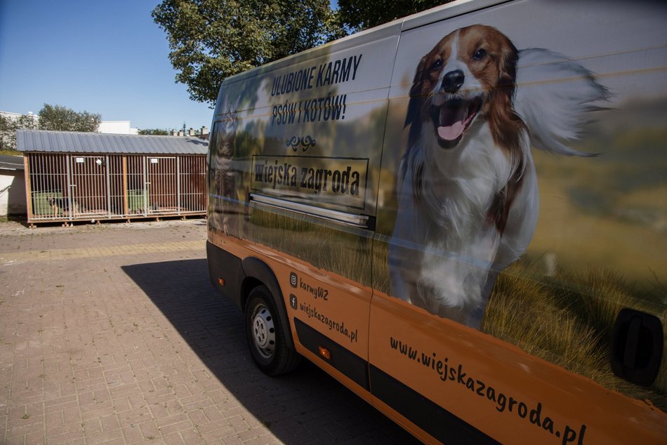 Masa karmy przyjechała do schroniska w Łodzi! W trosce o małe łakomczuchy