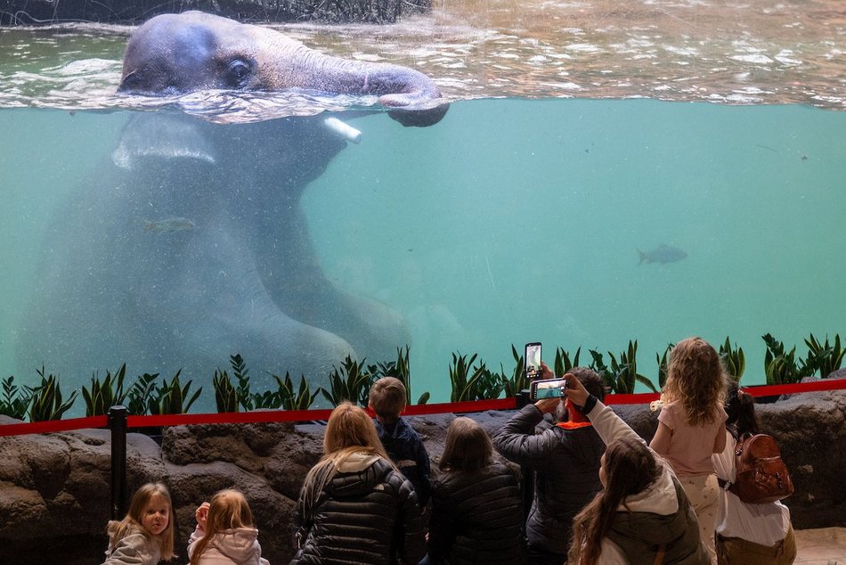 Łódź. Wielkanocny zając w Orientarium Zoo Łódź
