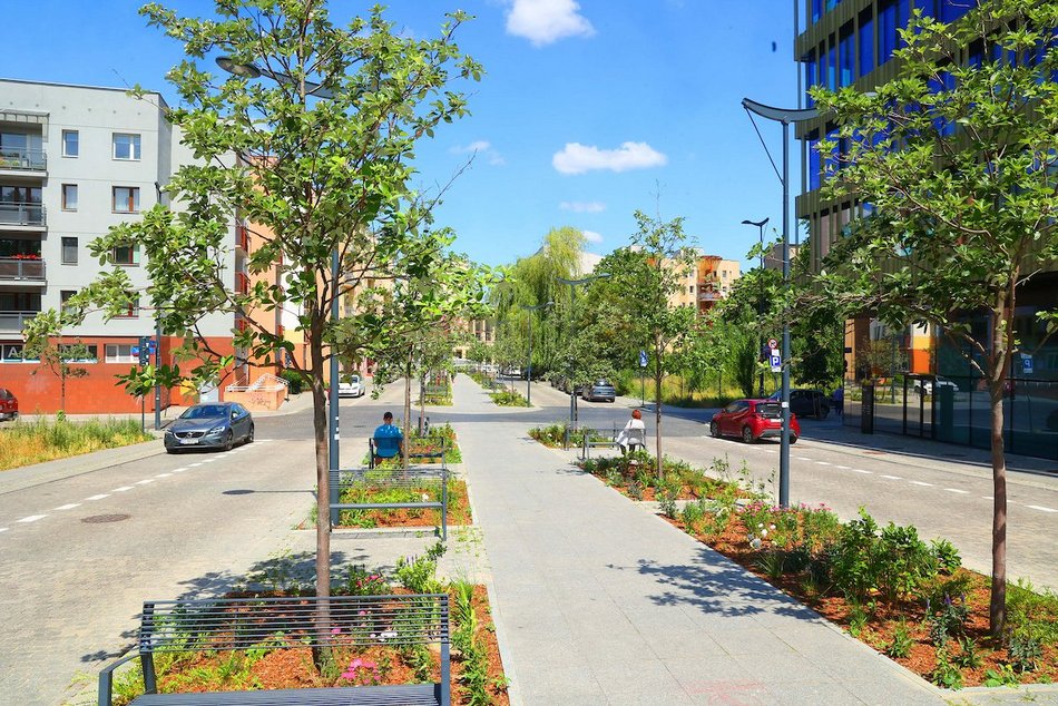 Łódź. Knychalskiego w Łodzi cała w zieleni! Nowe drzewa, kwiaty i rabaty
