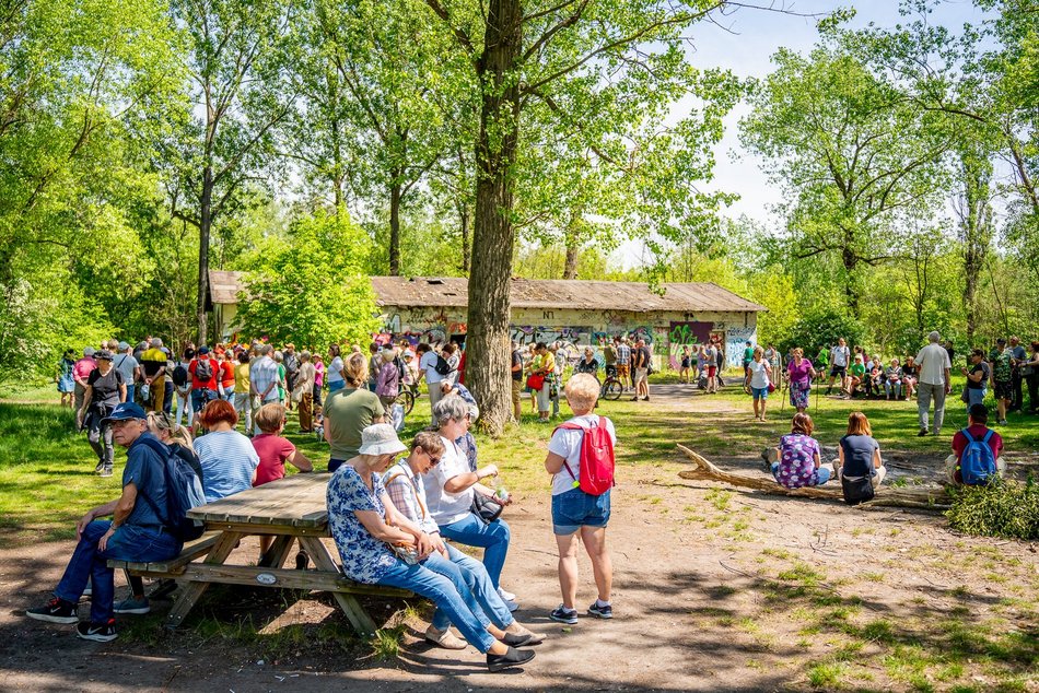 grupa ludzi spaceruje w naturze
