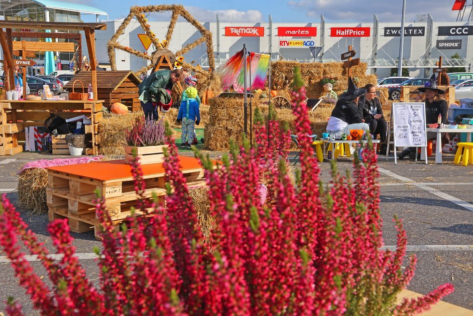 Farma Dyniowa w Pasażu Łódzkim