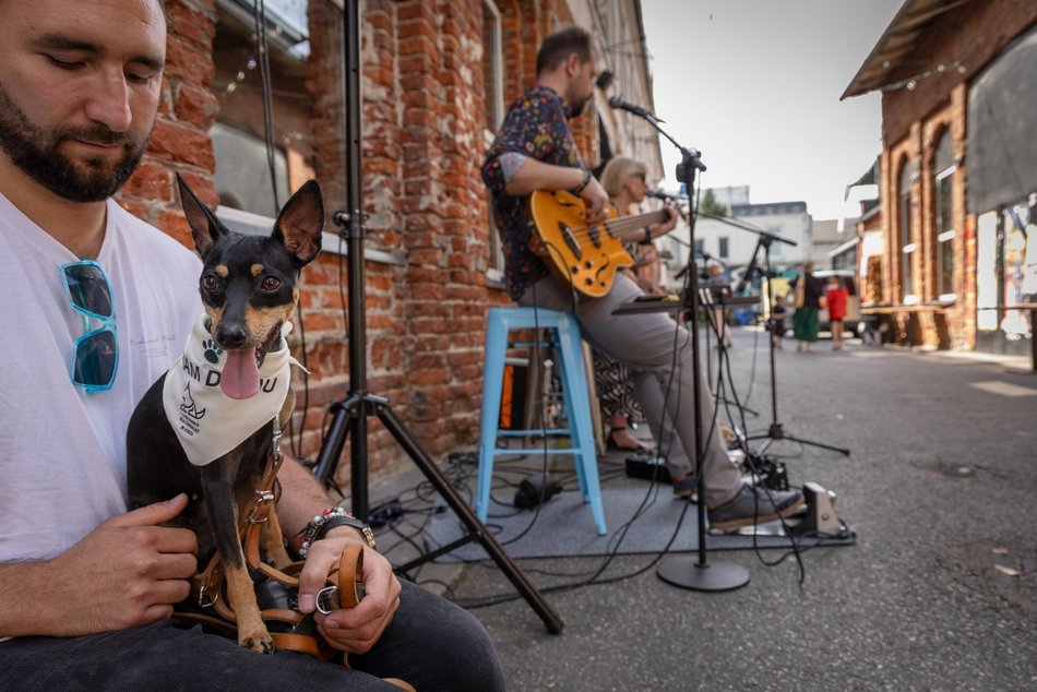 Łódź. Gastro dla schroniska w Łodzi. Tak się łączy miłość do jedzenia, muzyki i zwierząt!
