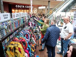 Łódź. Psi Targ w Manufakturze w Łodzi. Każdy miłośnik czworonogów znajdzie tu coś dla siebie