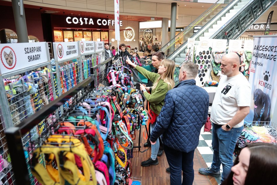 Łódź. Psi Targ w Manufakturze w Łodzi. Każdy miłośnik czworonogów znajdzie tu coś dla siebie